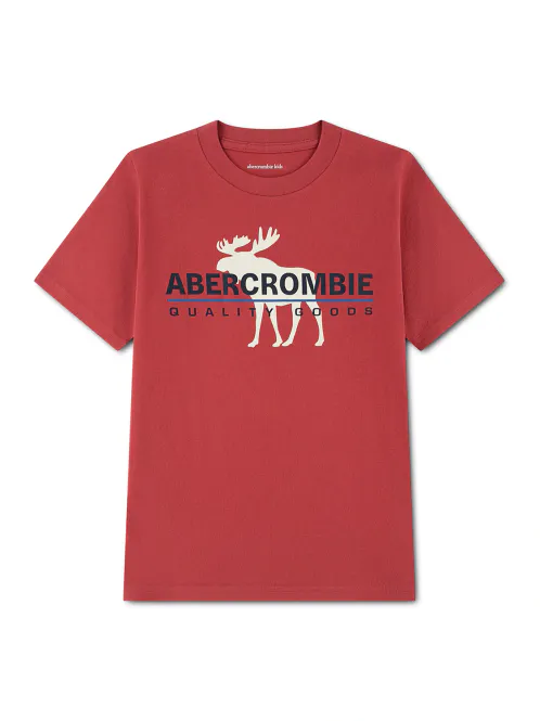Hovedbilde ABERCROMBIE YTK CORE LOGO T-SKJORTE