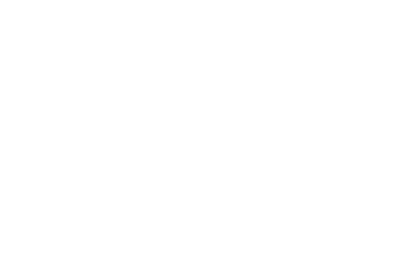 Logo Skyn