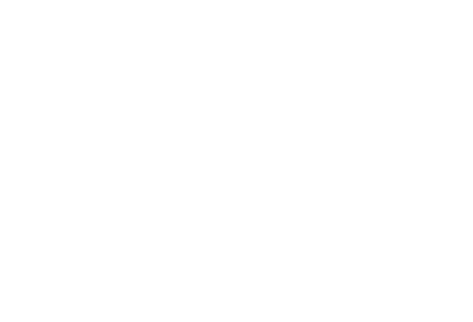 Logo Skyn