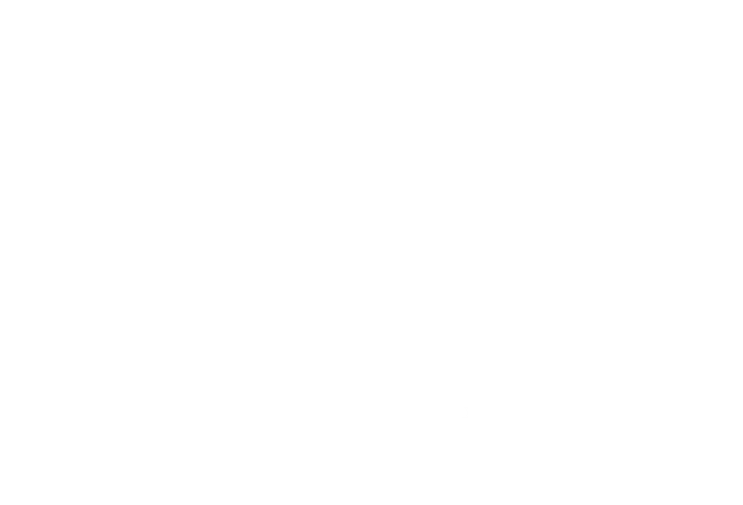 Logo Skyn