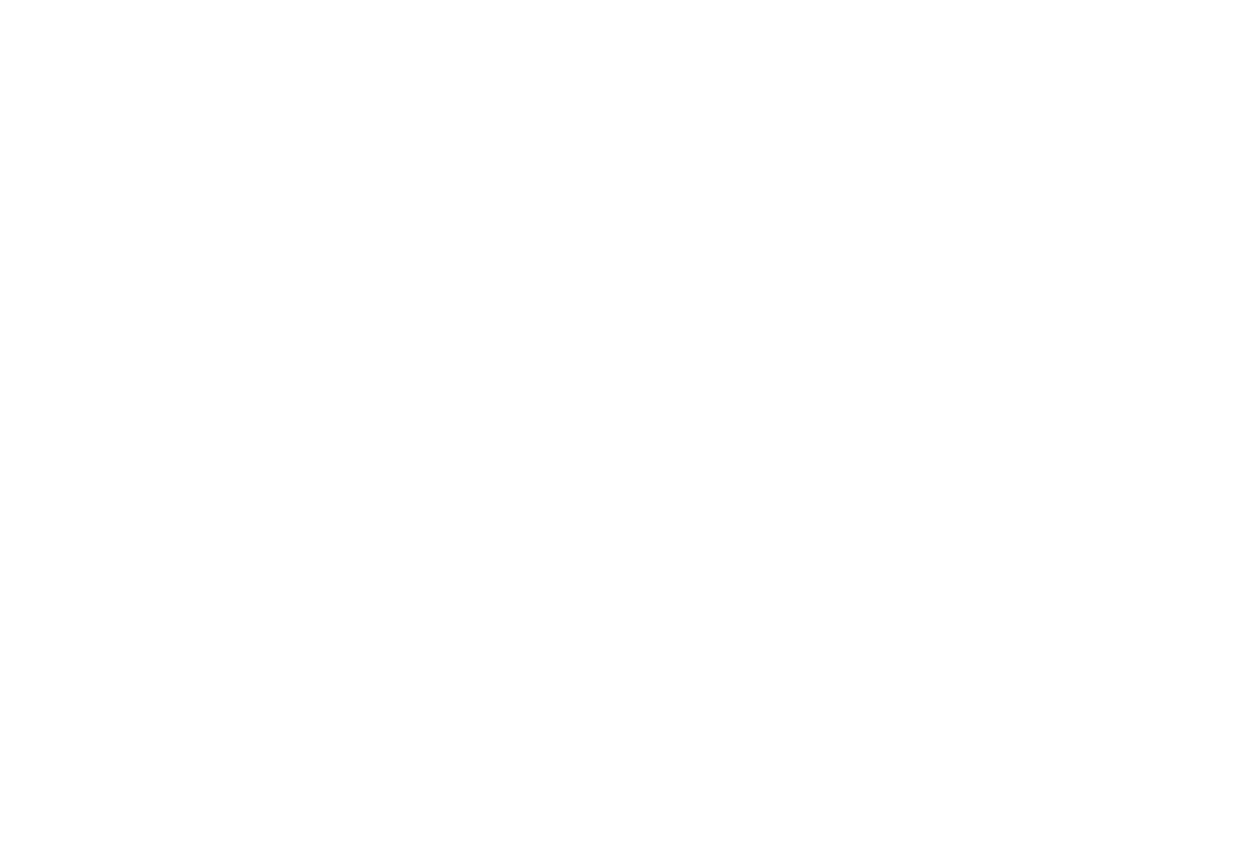 Logo Skyn